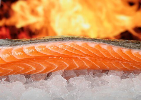 Den viktiga balansen mellan Omega-3 och Omega-6
